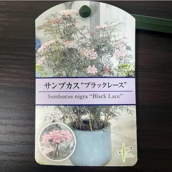 ブラックサンブカゼブラドリンクのレシピ