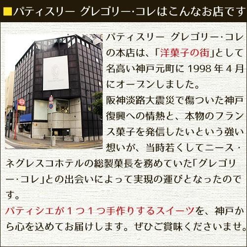 送料無料 簡易梱包 焼き菓子 詰め合わせ スイーツ 取り寄せ 個包装 ケークプティショコラ12個入｜gregorycollet｜09