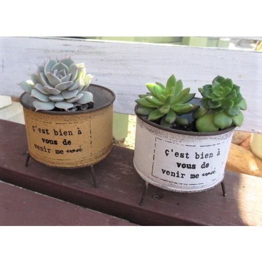 ブリキ セビヤンポット ホワイト オレンジ２点セット Ma1743 1746 穴あきプランター 0212k 14 グリングリン 通販 Yahoo ショッピング