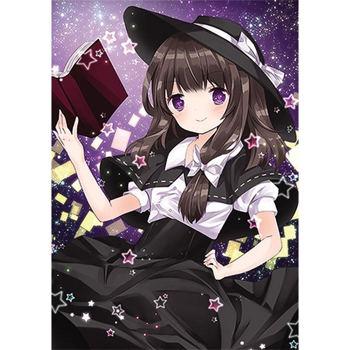 東方project コロコロうどん　クリアファイル16枚セット チルノ・羽々斬・クリアファイル「大・東方Project展」 [東方Project