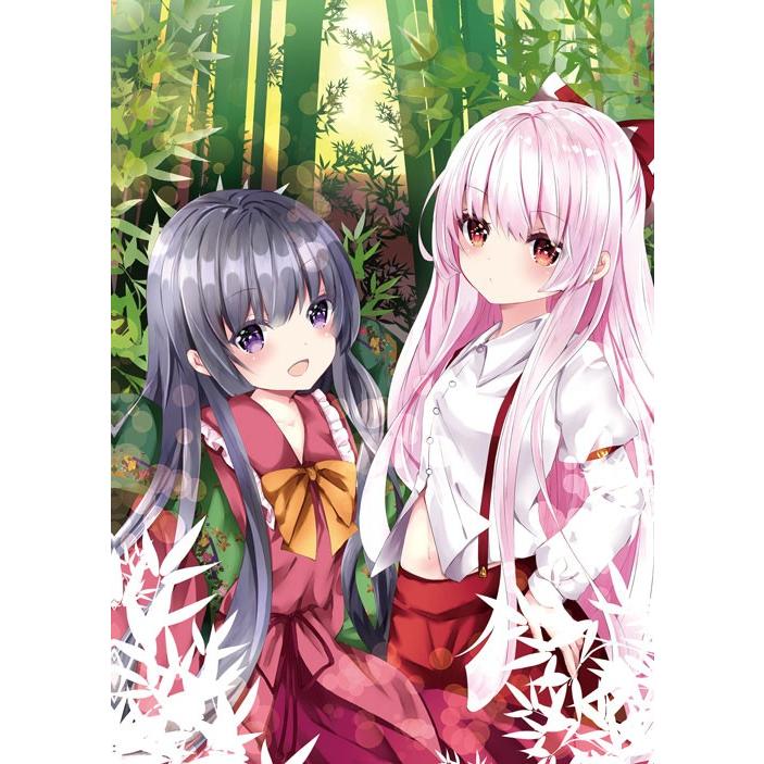 東方projectクリアファイル すなめりドリルクリアファイル 輝夜＆妹紅