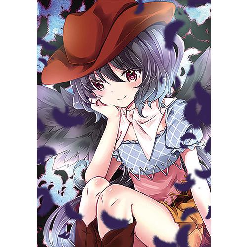 東方project ライブサークル　サイン多数入り　クリアファイル　NM6 東方project ライブサークル サイン多数入り クリアファイル NM6
