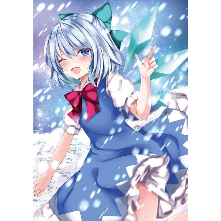 東方projectクリアファイル すなめりドリルクリアファイル チルノ21-08