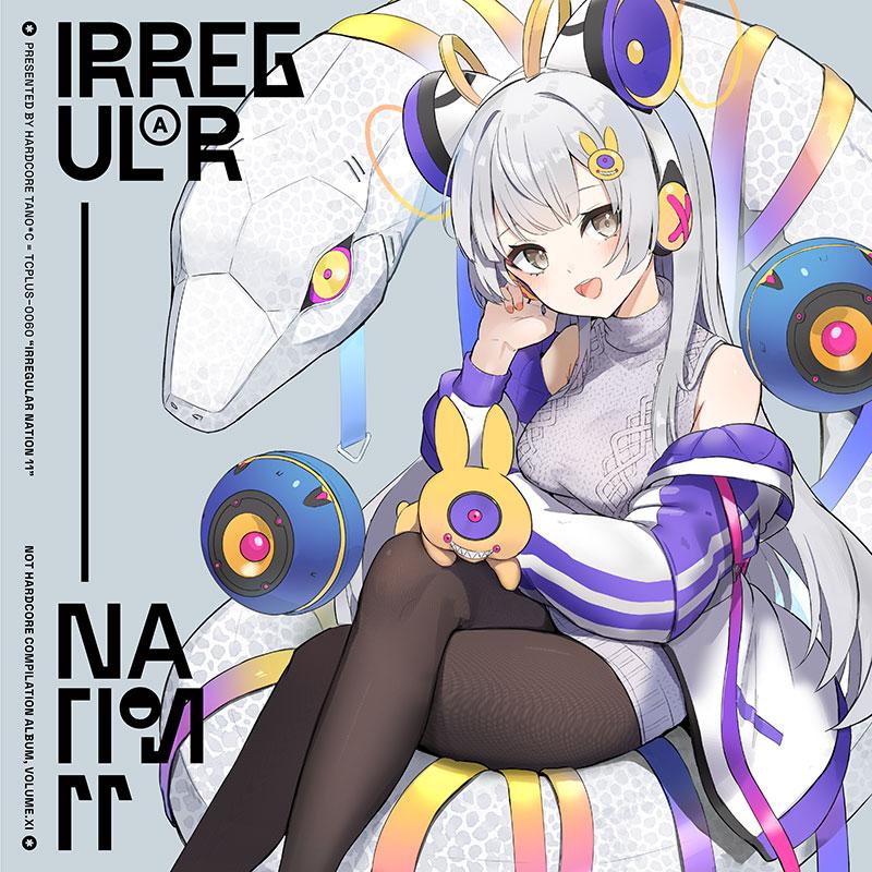 IRREGULAR NATION 11　-HARDCORE TANO*C- | 