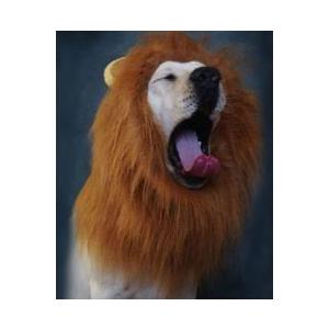 犬 かぶりもの ライオンみたい 本物 リアル 猫 Inulion185 Grepoヤフー店 通販 Yahoo ショッピング