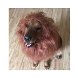 犬 かぶりもの ライオンみたい 本物 リアル 猫 Inulion185 Grepoヤフー店 通販 Yahoo ショッピング