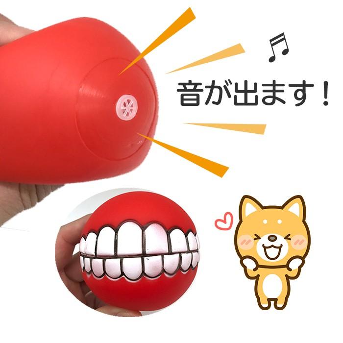 注目の福袋をピックアップ 犬 おもちゃ ボール 音 壊れない 面白い 写真映え Aynaelda Com