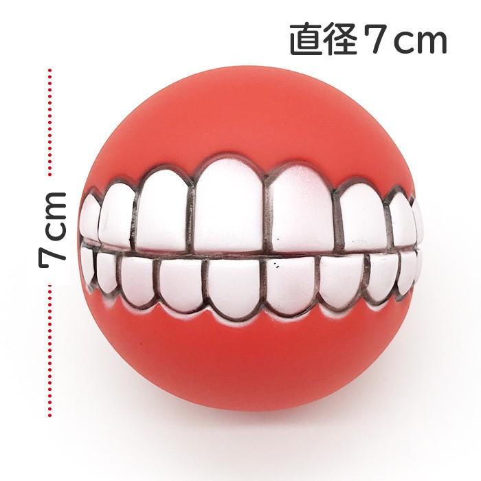 注目の福袋をピックアップ 犬 おもちゃ ボール 音 壊れない 面白い 写真映え Aynaelda Com