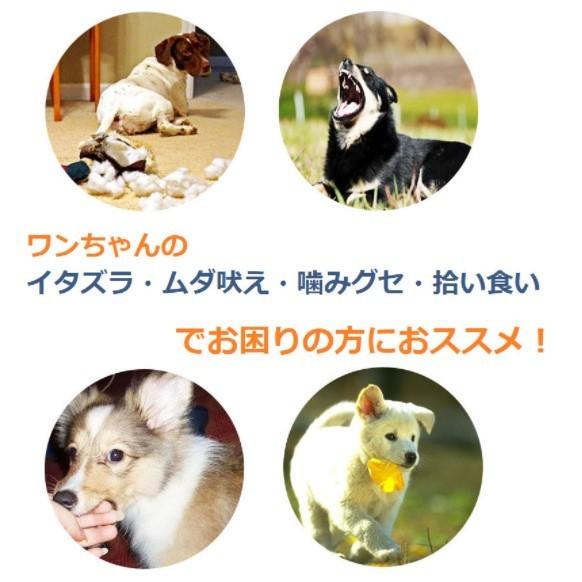 マズル 犬 無駄吠え防止 犬用 口輪 犬のしつけ 拾い食い防止 噛み トレーニング アヒル あひる口 口輪に見えない 可愛い 小型犬 Sサイズ｜grepo-yafuu-store｜02