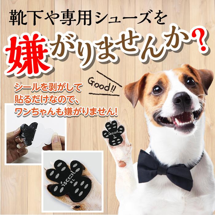 犬 滑り止め 肉球 シール 靴下 24枚 フローリング 足パット 滑らない 肉球保護 フットパット 犬用 ペット 老犬 小型 中型 大型 お試し Suberidome 24 Grepoヤフー店 通販 Yahoo ショッピング
