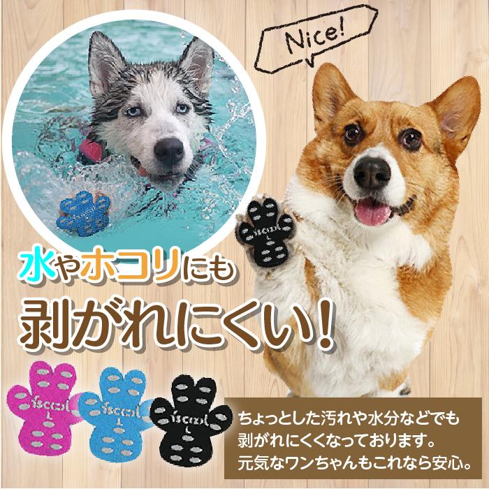 犬 滑り止め 肉球 シール 靴下 24枚 フローリング 足パット 滑らない 肉球保護 フットパット 犬用 ペット 老犬 小型 中型 大型 お試し Suberidome 24 Grepoヤフー店 通販 Yahoo ショッピング
