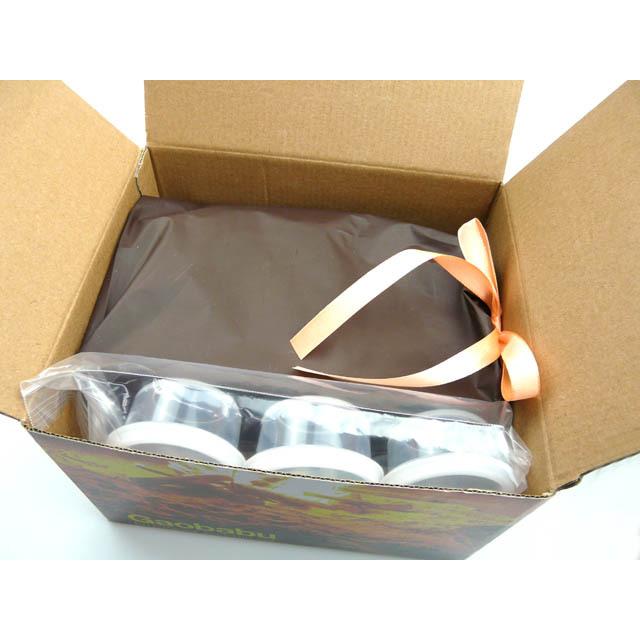 固形燃料 ガオバブ(Gaobabu)Gaobabuキャリボ ギフト用セットA ※プレゼント包装発送 GSET-14 マグカップ 風よけ 風防 | Gaobabu | 09