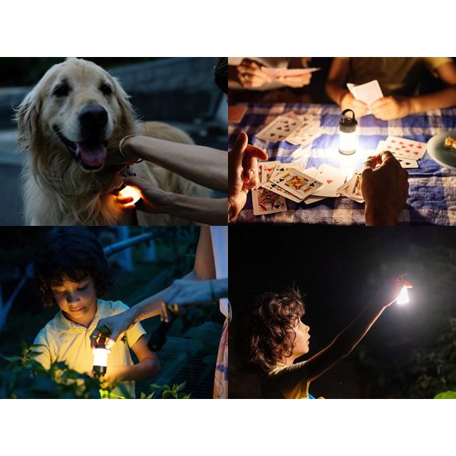 レッドレンザー(LED LENSER) ML4 Warm Light  ランタン 高輝度 LED IP66 パワフル 電池式 単3 単三 充電式 | LEDLENSER | 03