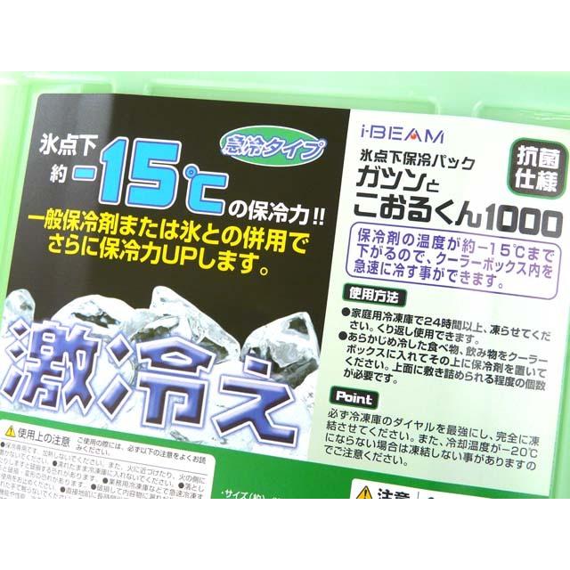 アステージ 氷点下保冷パック ガツンとこおるくん 1000  保冷剤 保冷パック ハードタイプ アイスパック 冷却 便利 暑さ対策 熱中症 災害 | JEJアステージ | 01