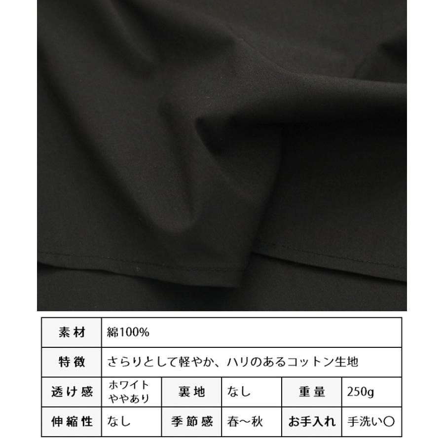 袖フリル ブラウス シャツ トップス チュニック バンドカラー 大きい