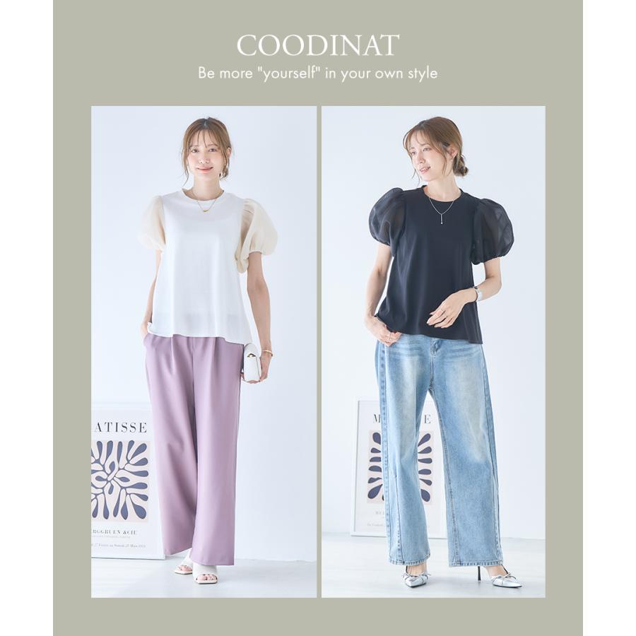 パフスリーブ Tシャツ レディース 半袖 カットソー シアーダンボール