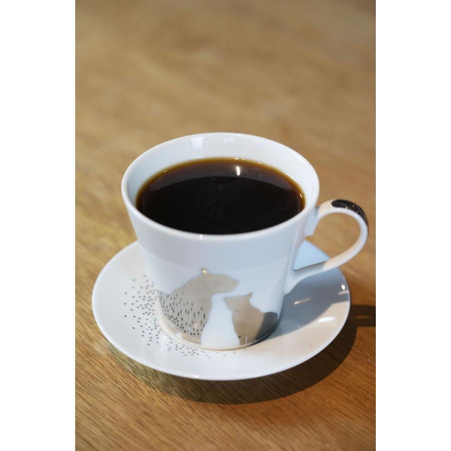 生coffee(生コーヒー)：70杯分(30g×2袋)　飲むだけで環境保全！　栽培期間中農薬不使用　インスタント史上最高傑作　グリーンコーヒー　低カフェイン |  | 04