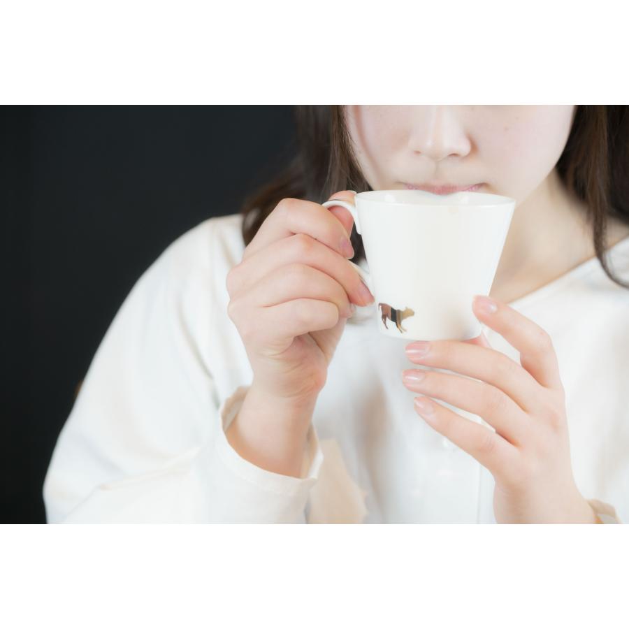 生coffee(生コーヒー)：212杯分(90g×2袋)　飲むだけで環境保全！　栽培期間中農薬不使用　インスタント史上最高傑作　グリーンコーヒー　低カフェイン |  | 06