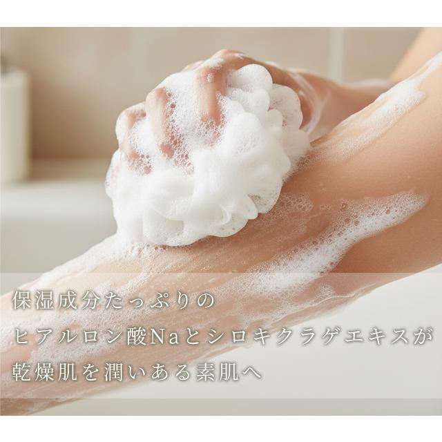 ボディソープ パウチ 1個単位 お試し ホテルアメニティ 旅行用 業務用