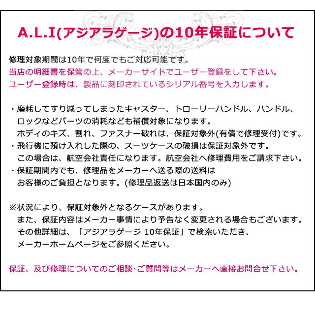 スーツケース 機内持ち込み Sサイズ キャリーケース 抗菌 キャリーバッグ フロントオープン ストッパー フレーム 36L ソリッドナイトALI-020FT-18(aj0a117)「C」 |  | 18