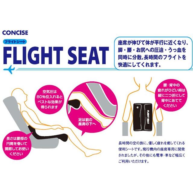 「レビュー記入でメール便送料無料」フライトシート コンサイス 日本製 エアークッション 旅行 トラベル 便利 腰当て 空気枕 325003-mail(1通2点迄)(ar0a013) |  | 03