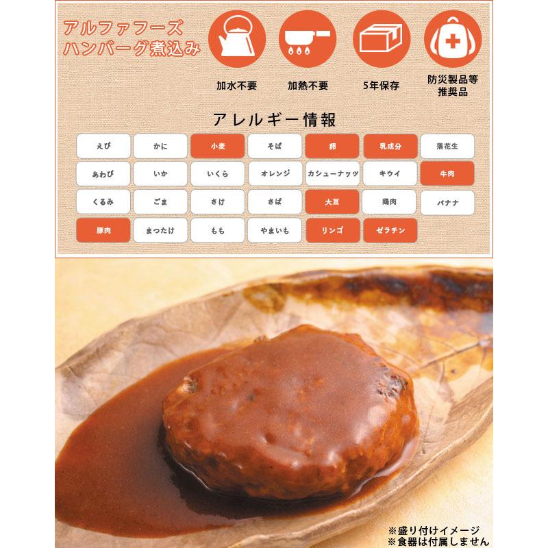 防災用品 アルファフーズ 非常食 5年保存 美味しい防災食 ハンバーグ  