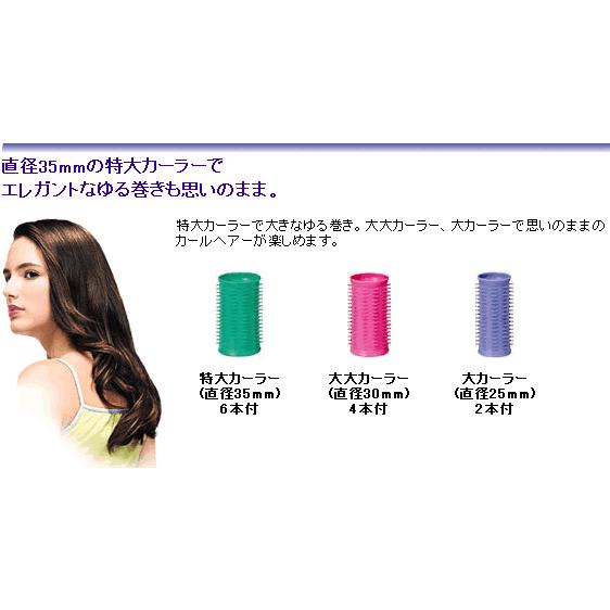 Panasonic パナソニック ヘアカーラー カールン12 海外対応 海外使用