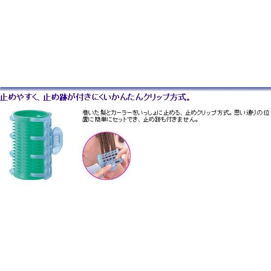 Panasonic パナソニック ヘアカーラー カールン12 海外対応 海外使用