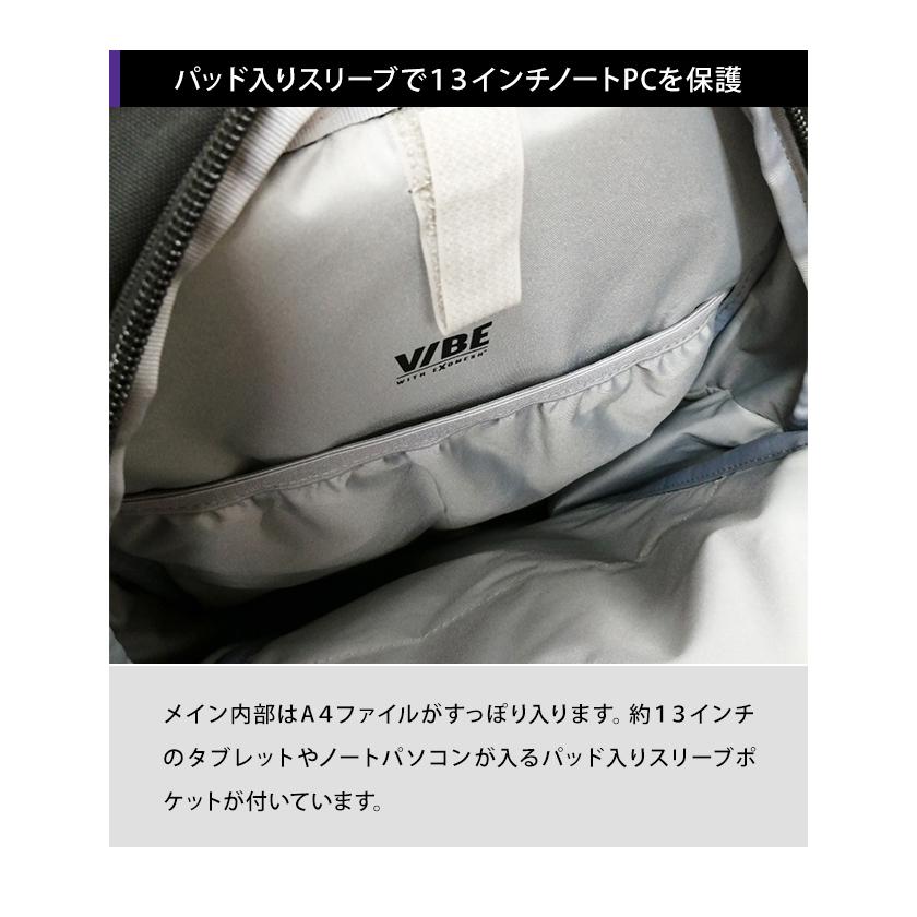 防犯用 スキミング防止 パックセーフ リュック バッグ リュックサック デイパック 海外旅行 セキュリティ バイブ20 RFIDブロック ポケット 12970352(ei0a217) | PacSafe | 10