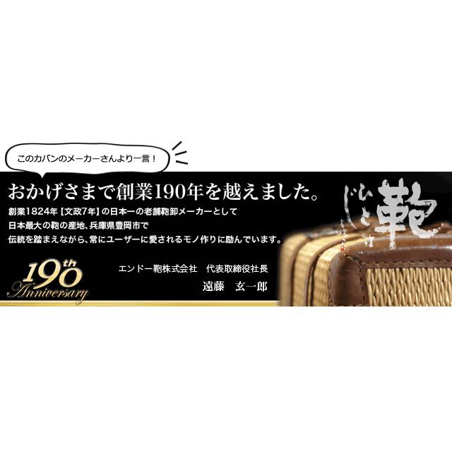 スーツケース 機内持ち込み Sサイズ 軽量 キャスター交換 超静穏 TSA ファスナー LIEVE フリクエンター リエーヴェ 1-251 (en0a051) 「C」 | FREQUENTER | 19