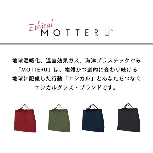 レビュー記入でメール便送料無料」ポケットスクエアバッグ ワイド エコ