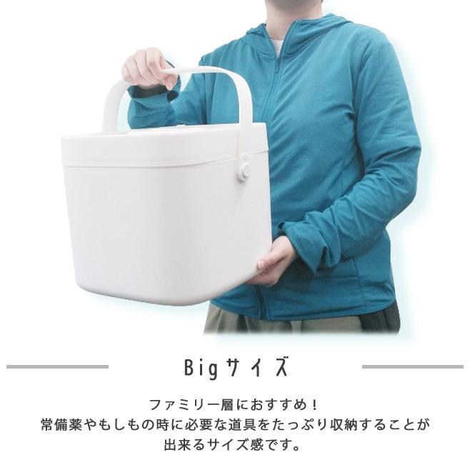 救急箱 薬箱 大容量 収納ボックス なんでも箱 Lサイズ ピルケース ステッカー付き シンプル 薬収納 道具箱 家庭用 薬入れ 大きい 北欧 GPT 送料無料(gu1b176) | ブランド登録なし | 09