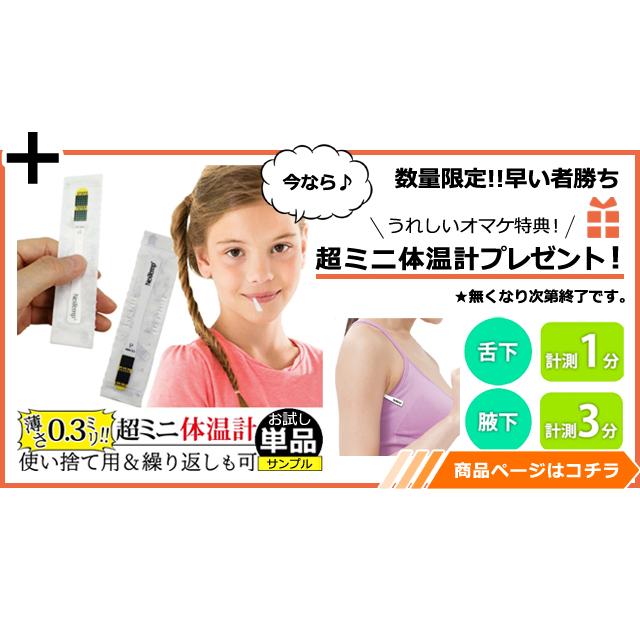 救急箱 薬箱 大容量 収納ボックス なんでも箱 Lサイズ ピルケース ステッカー付き シンプル 薬収納 道具箱 家庭用 薬入れ 大きい 北欧 GPT 送料無料(gu1b176) | ブランド登録なし | 12