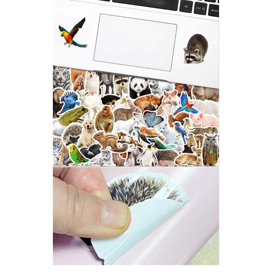 ステッカー 動物 生き物 シール 50枚 セット 目印 リアル ダイカット