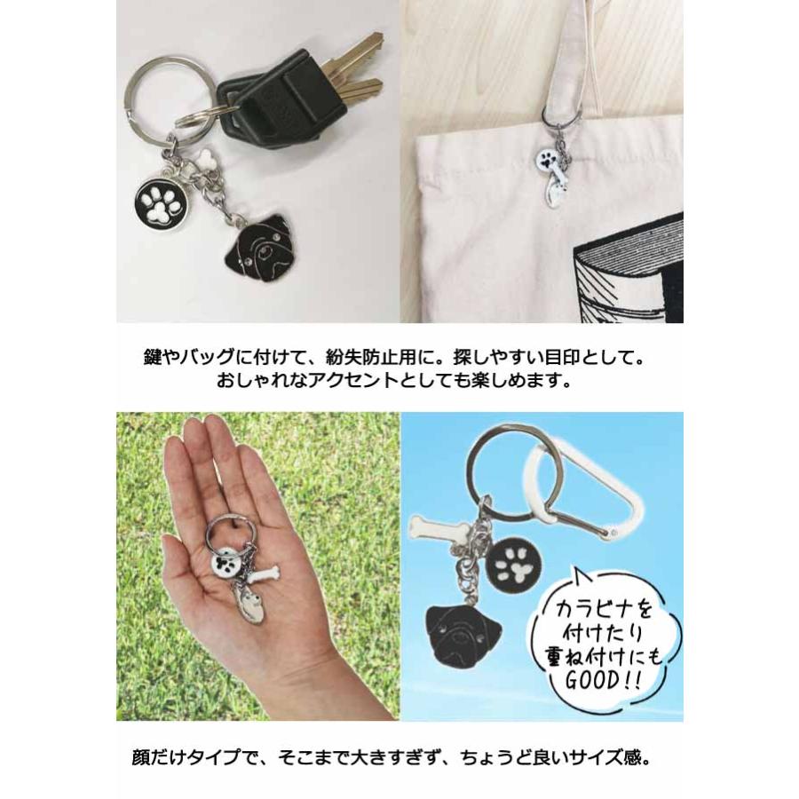 犬 キーホルダー 肉球 ボストンテリア パグ ハスキー 秋田犬 コーギー マルチーズ フェイス いぬ 犬グッズ アクセサリー GPT 10点迄メール便OK(gu1c048) | ブランド登録なし | 02