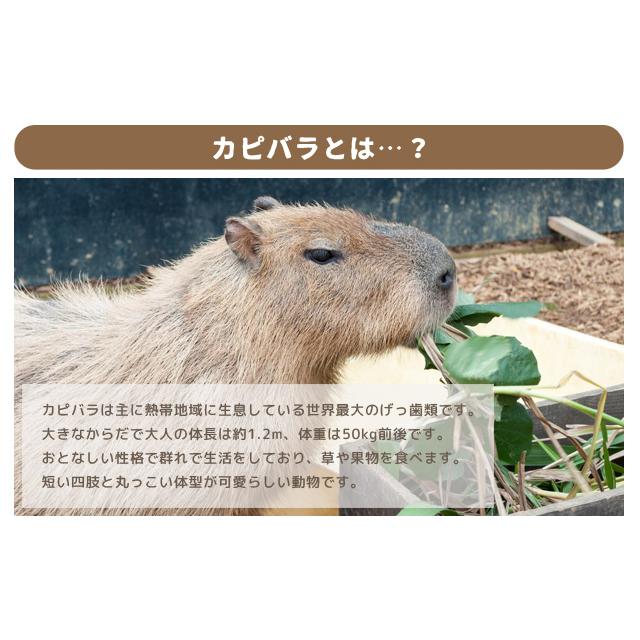 巾着袋 巾着 ポーチ カピバラ アニマル バッグ ふわふわ 可愛い ユニーク 小物入れ 手持ち もこもこ キッズ ファー GPT 1点迄メール便OK(gu1c323) | ブランド登録なし | 03