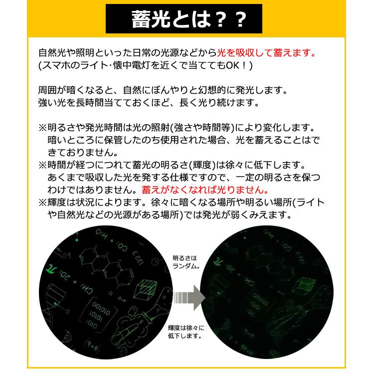 メッセンジャーバッグ A4 B4 収納 大容量 ショルダーバッグ メンズ レディース 蓄光 化学 数式 柄 キャリーオン バッグ 斜め掛け 2WAY GPT 送料無料(gu1c359) | ブランド登録なし | 14