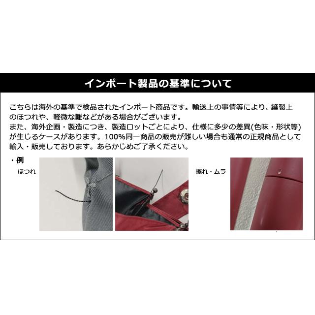 折りたたみ傘 自動開閉 晴雨 カラビナ ハンドル 10本傘 メンズ