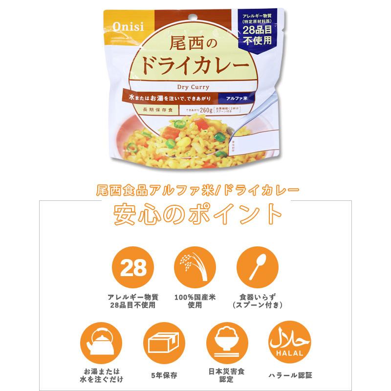 防災用品 非常食 尾西食品 最大5年保存食 アルファ米 ドライカレー 100g単品 お試し h140287 4点迄メール便OK（ho0a100） | 尾西食品 | 01