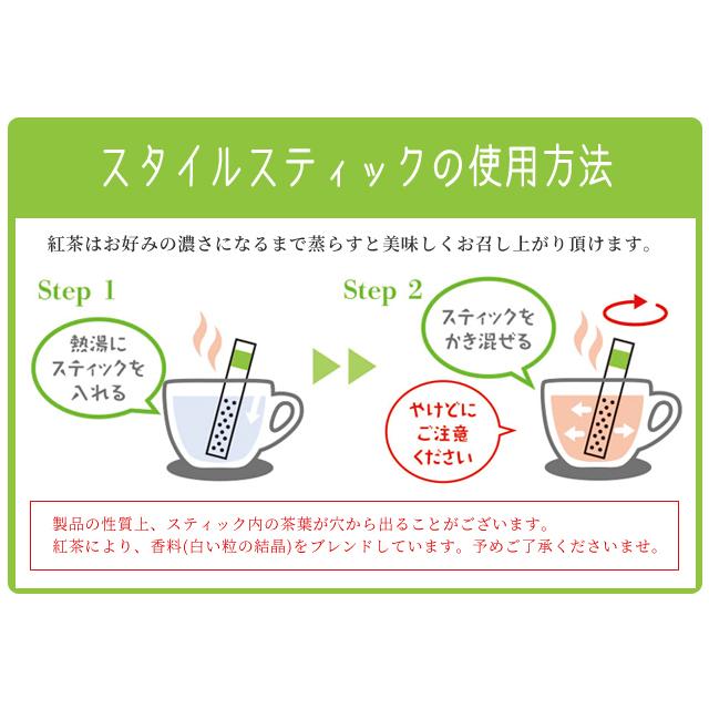 「レビュー記入でメール便送料無料」紅茶 ギフト スティックスタイル ティー 各10本入 混ぜるだけ STYLE STICK ノベルティ 713 714(1通につき1点)(in0a003) |  | 02