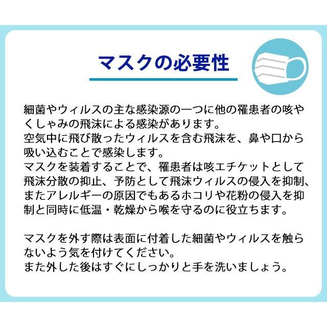 マスクケース 日本製 抗菌 前ポケット付 マルチケース マスクポーチ シンプル 無地 携帯用マスクケース マスクポケット 1-120001-20 20点迄メール便OK(iw0a364) | ブランド登録なし | 05