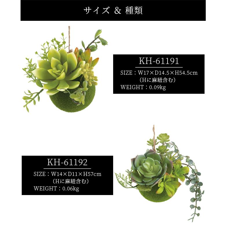 フェイクグリーン 吊り下げ 消臭 観葉植物 アーティフィシャルグリーン Sサイズ 小型 小さい プレゼント ギフト エクリア KH-61193 KH-61195(ki3a005) |  | 12