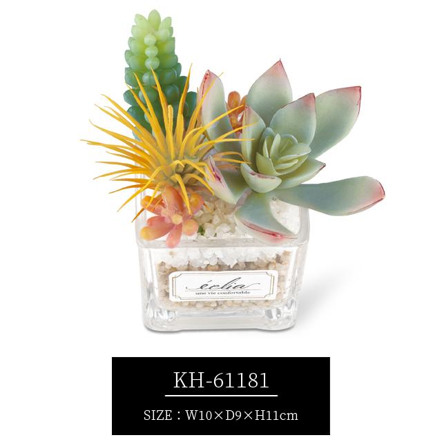 フェイクグリーン 卓上 置き型 消臭 Sサイズ 多肉 防汚 観葉植物 アーティフィシャルグリーン プレゼント ギフト キシマ KH-61180 KH-61181 KH-61182(ki3a007) |  | 09