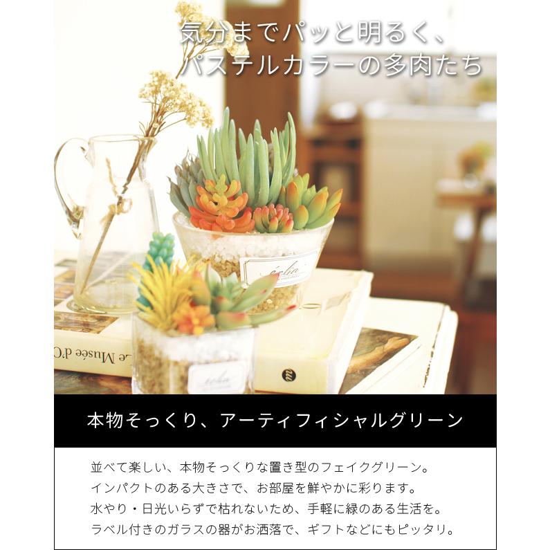 フェイクグリーン 卓上 置き型 消臭 抗菌 観葉植物 アーティフィシャルグリーン Lサイズ 多肉 ギフト プレゼント キシマ KH-61183 KH-61184 KH-61185(ki3a008) |  | 04