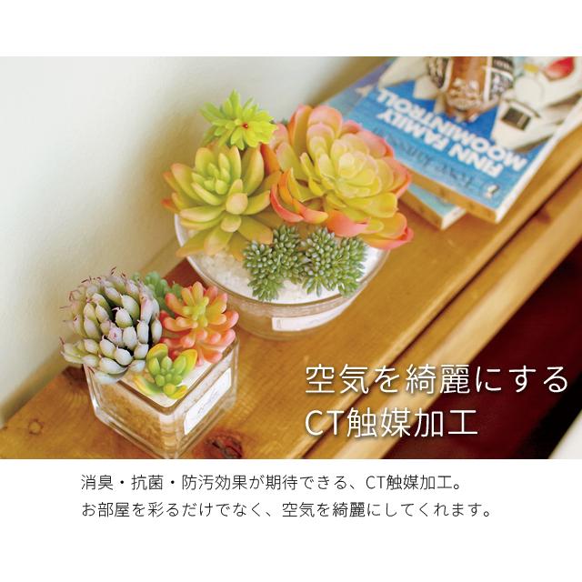 フェイクグリーン 卓上 置き型 消臭 抗菌 観葉植物 アーティフィシャルグリーン Lサイズ 多肉 ギフト プレゼント キシマ KH-61183 KH-61184 KH-61185(ki3a008) |  | 05