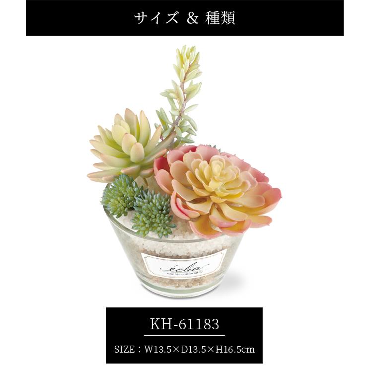 フェイクグリーン 卓上 置き型 消臭 抗菌 観葉植物 アーティフィシャルグリーン Lサイズ 多肉 ギフト プレゼント キシマ KH-61183 KH-61184 KH-61185(ki3a008) |  | 07