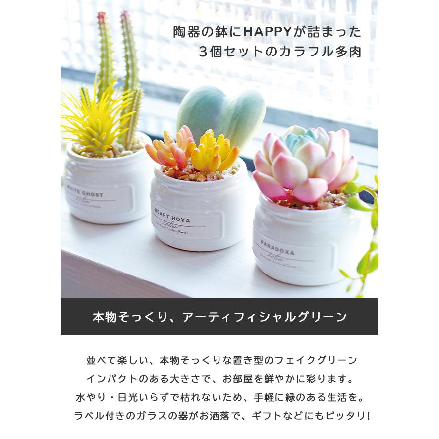 フェイクグリーン 卓上 置き型 消臭 防汚 抗菌 3個入り 観葉植物 アーティフィシャルグリーン 多肉 プレゼント ギフト キシマ KH-61189 KH-61190(ki3a014) |  | 04