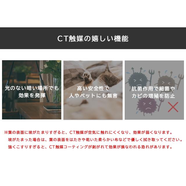 フェイクグリーン 卓上 置き型 消臭 防汚 抗菌 3個入り 観葉植物 アーティフィシャルグリーン 多肉 プレゼント ギフト キシマ KH-61189 KH-61190(ki3a014) |  | 06