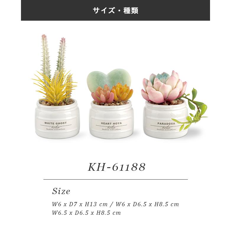 フェイクグリーン 卓上 置き型 消臭 防汚 抗菌 3個入り 観葉植物 アーティフィシャルグリーン 多肉 プレゼント ギフト キシマ KH-61189 KH-61190(ki3a014) |  | 07