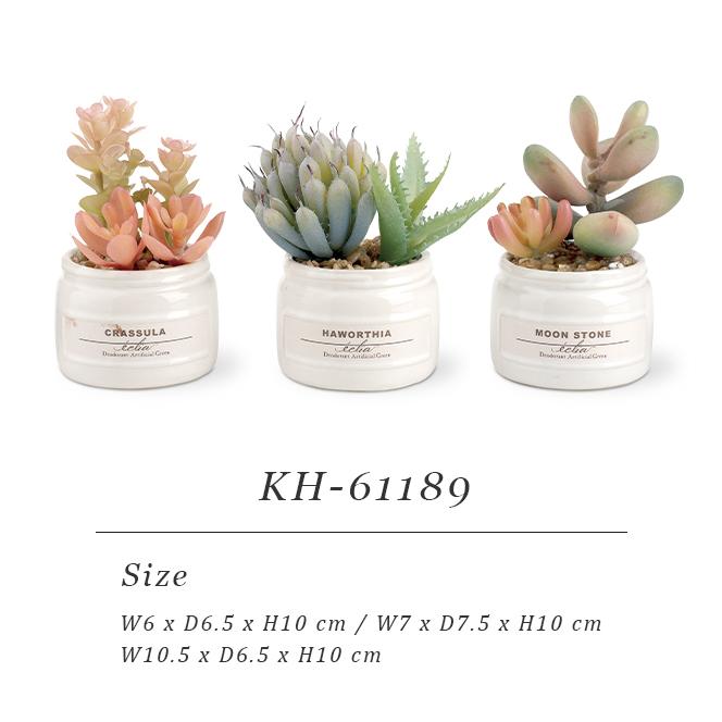 フェイクグリーン 卓上 置き型 消臭 防汚 抗菌 3個入り 観葉植物 アーティフィシャルグリーン 多肉 プレゼント ギフト キシマ KH-61189 KH-61190(ki3a014) |  | 08